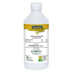 SAETA GOLD